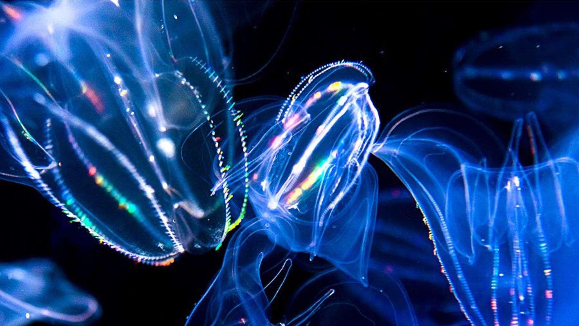 N/A CIO UK Live Series - August Edition 2022