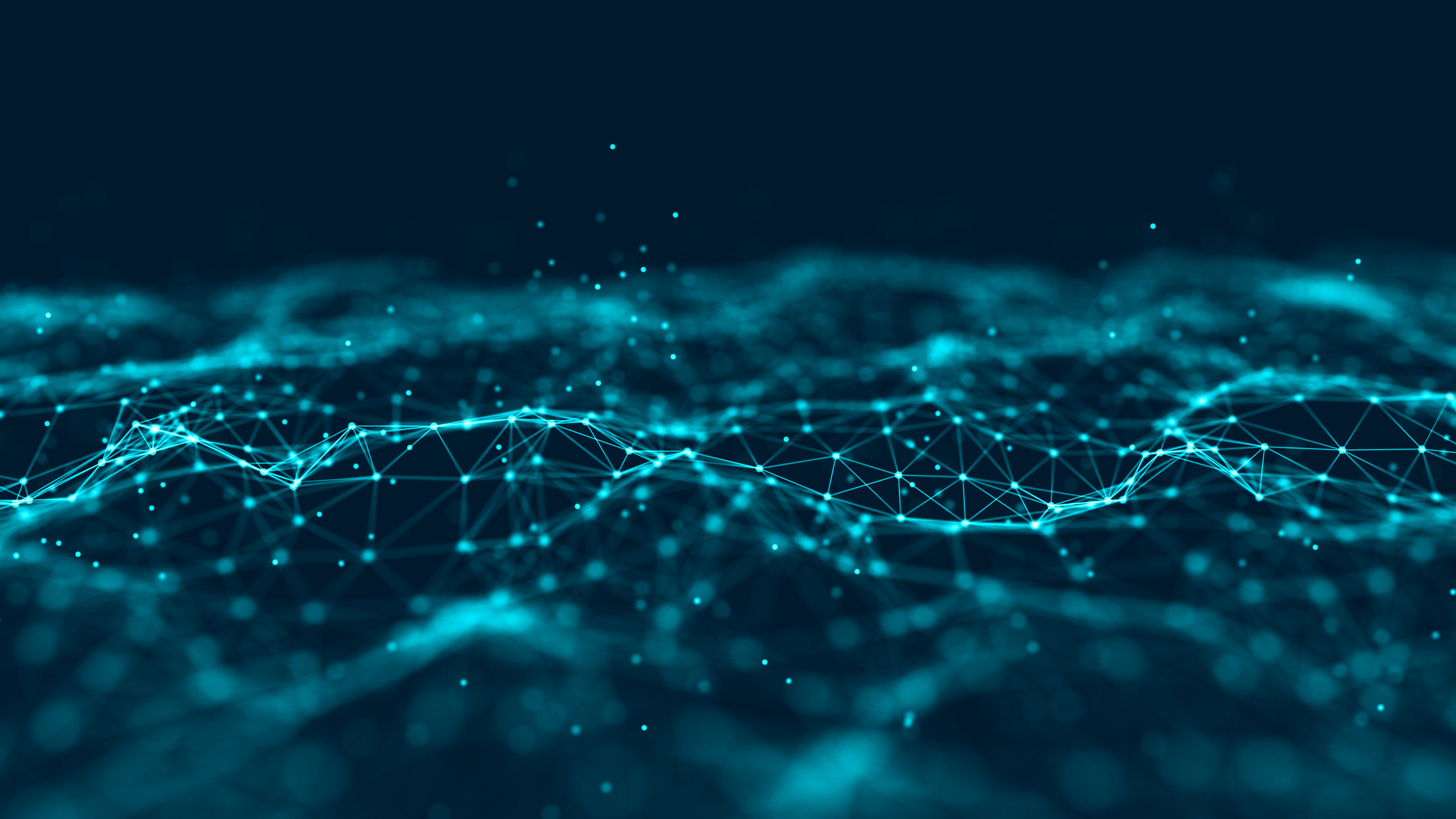 CCO SEA Live Series - August Edition 2022