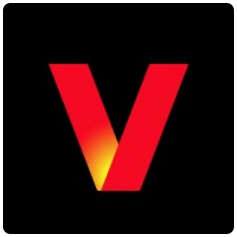 Verizon Business